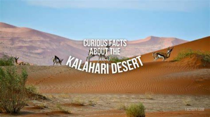 7 Fun Kalahari Desert Facts From San & Geology to Biodiversity