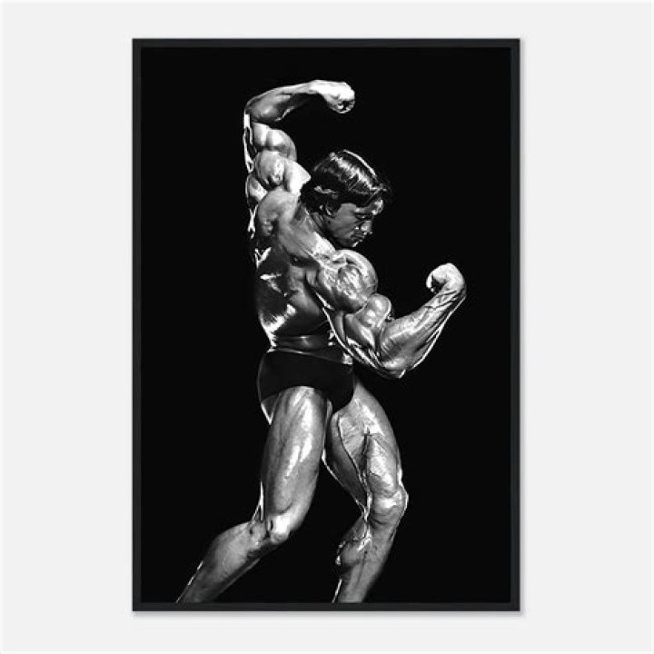 Arnold Schwarzenegger Bodybuilding Photo Poster Wall Print Arnie Mr