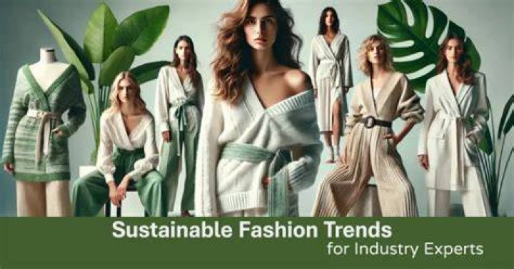 Discoveries And Insights In Sustainable Fashion