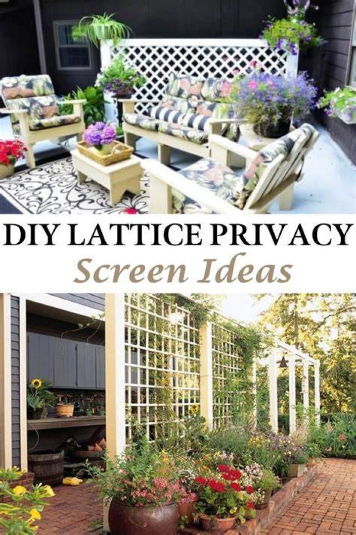 DIY Privacy Protection: Safeguarding Your Content In The Wake Of Lexi Marvel's