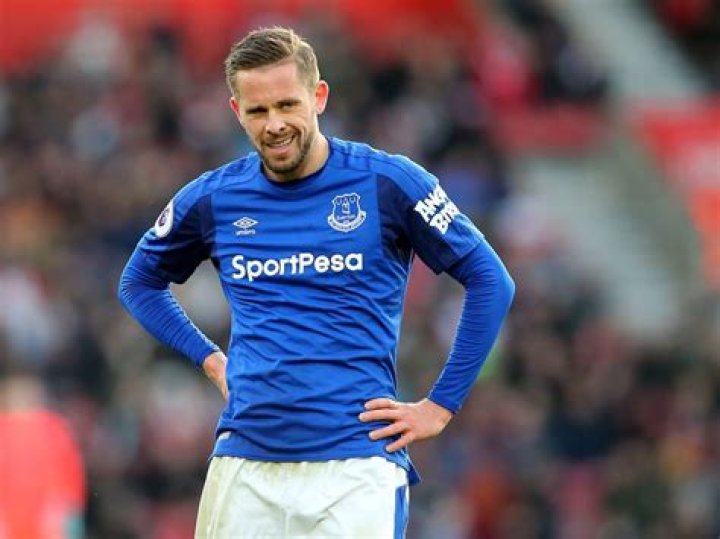 Gylfi Sigurdsson feels he is on the up under Sam Allardyce Express & Star