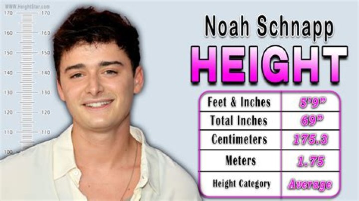 Noah Schnapp Height In Cm 2022
