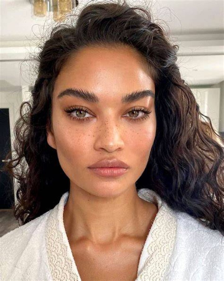 Shanina Shaik snuggles up to boyfriend Tyson Beckford in chilly weather