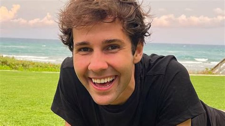 star David Dobrik goes from Chicago suburbs to TV's 'Dodgeball