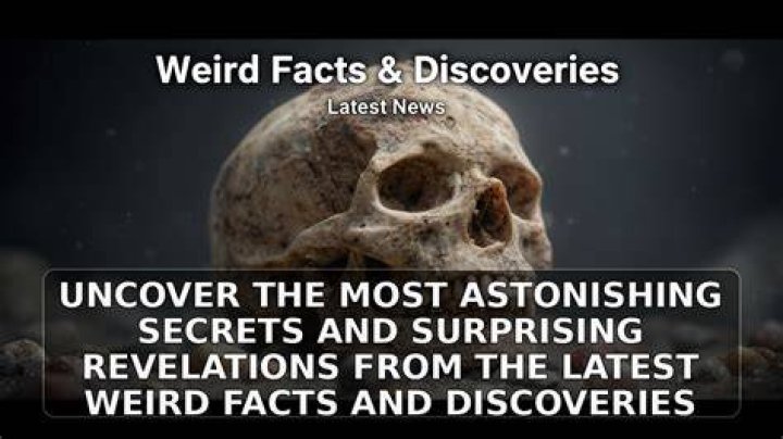Unraveled Secrets And Surprising Revelations