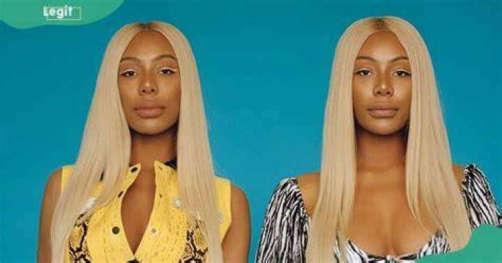 Unveiling The Clermont Twins' Transformation Journey: Before And After Insights