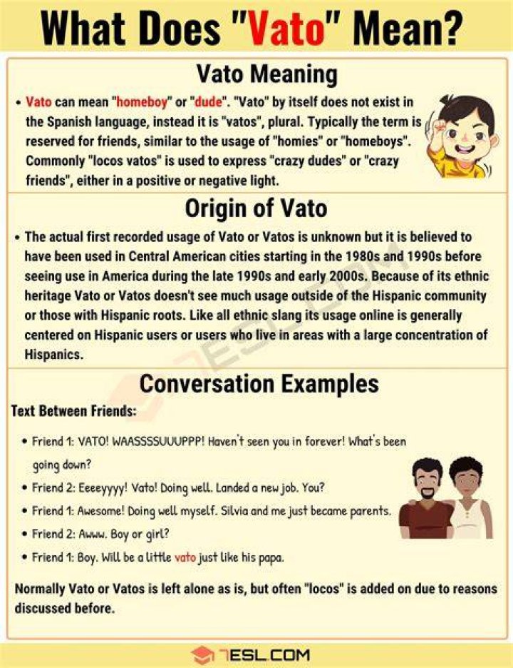 What does vato mean in Spanish Spanish to Go