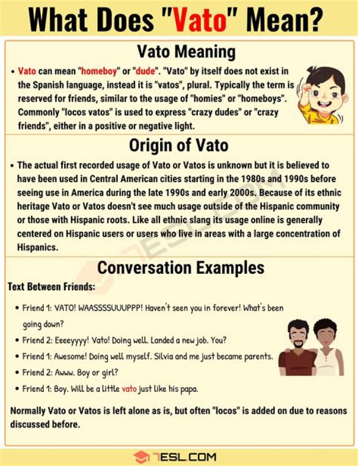 What Does Vato Mean? Meaning, Uses and More FluentSlang