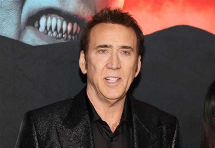 Who is Nicolas Cage's wife Riko Shibata and how old is she? The US Sun